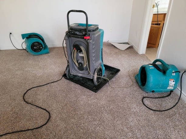 Trusted North Eagle Butte, SD Water damage restoration Experts