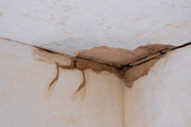 Best Basement water damage restoration  in North Eagle Butte, SD