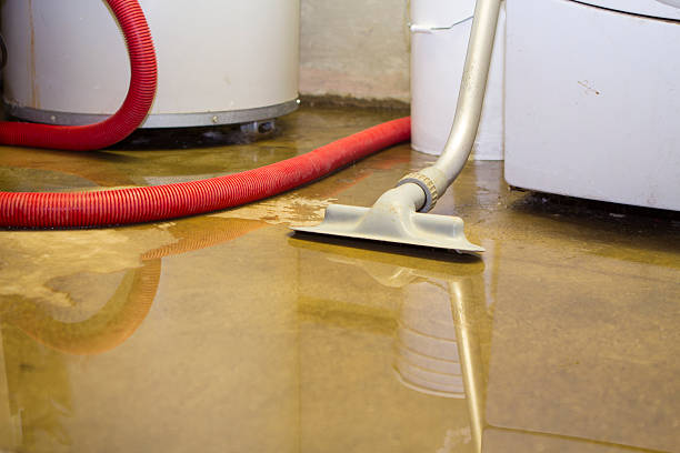 Best Water damage contractors near me  in North Eagle Butte, SD
