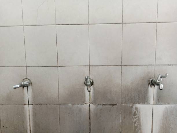 Best Flood restoration services  in North Eagle Butte, SD
